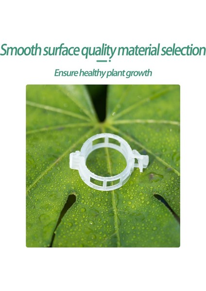 Silhouette 200 Adet Bitki Desteği Bahçe Klipleri Domates Klipleri Bitkileri Bağlarsicimsarmaşık Kafeskafesler Bitki Asma Beyaz (Yurt Dışından) fırsatları