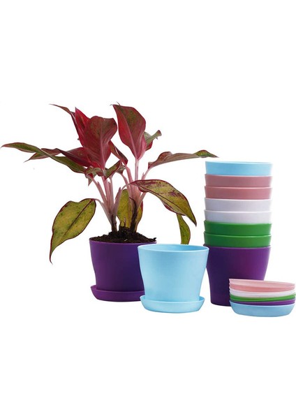 Silhouette 10 Adet Plastik Kapalı Çiçek Bitki Saksıları, Mini Çiçek Fideleri Fidanlık Saksısıekicisaksı Palet ile (Yurt Dışından)