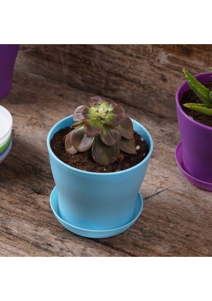 Silhouette 10 Adet Plastik Kapalı Çiçek Bitki Saksıları, Mini Çiçek Fideleri Fidanlık Saksısıekicisaksı Palet ile (Yurt Dışından)