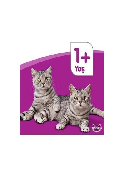 Peynirli ve Sığırlı Kedi Ödül Maması 60 gr 4008429055331 Kedi Kuru Maması fiyatları