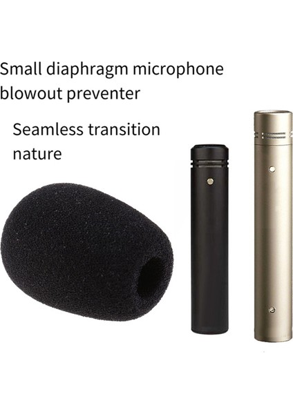 Rode M5 Nt5 Nt6 NT55 Mini Köpük Kılıf Için 2 Adet Köpük Mikrofon Rüzgarlık Süngeri (Yurt Dışından) modelleri
