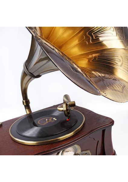 Adet Gramofon Kayıt Manyetik Kartuş Kalemi ile Lp Vinil Iğne Aksesuarları Fonograf Pikap Kalemi (Yurt Dışından)