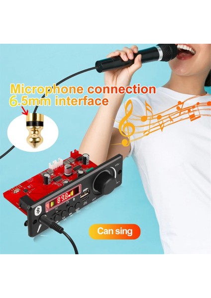 160W Amplifikatör Bluetooth 5.0 Dıy Mp3 Dekoder Kartı Ses Çalar 12V Mp3 Çalar Araba Fm Radyo Modülü Tf USB Mikrofon Kayıt (A) (Yurt Dışından)