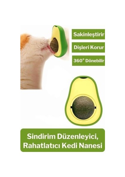 Yapışkanlı Kedi Çimi Avokado Catnip | Avokado Kedi Çimi Topu Avokado Kedi Nanesi Oyuncağı fırsatları