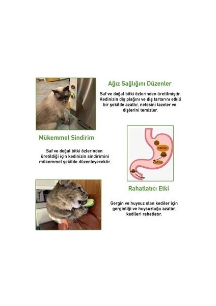 Yapışkanlı Kedi Çimi Avokado Catnip | Avokado Kedi Çimi Topu Avokado Kedi Nanesi Oyuncağı indirimleri