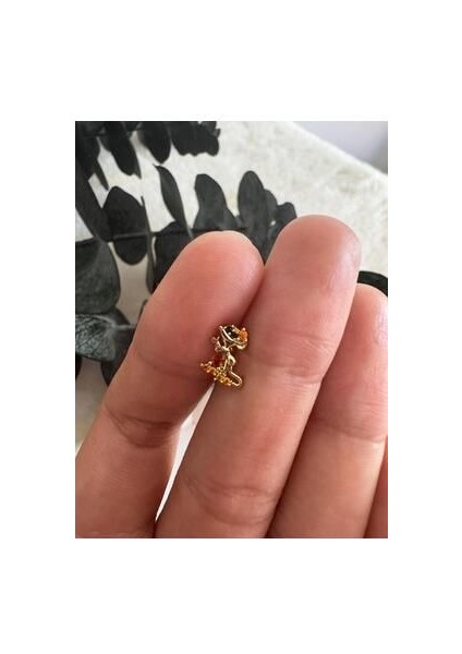 Hayvan Figürlü Çelik Piercing- Çelik Tragus Helix