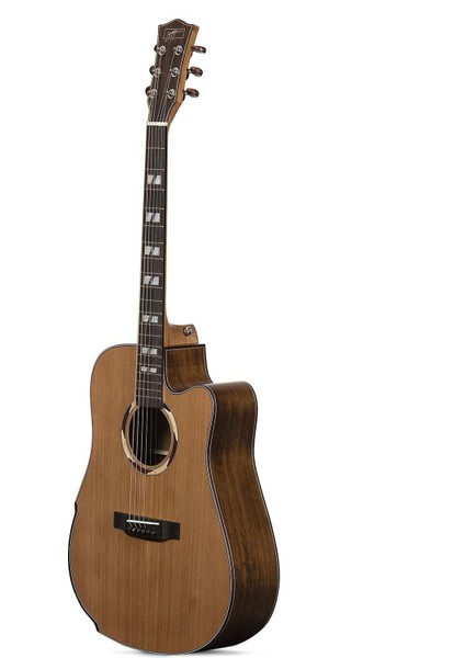 ACZP800 Akustik Gitar