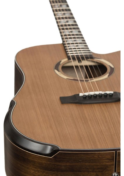 ACZP800 Akustik Gitar