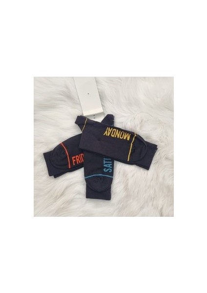 Üçlü Kadın Erkek Uzun Diz Altı Spor Çorap