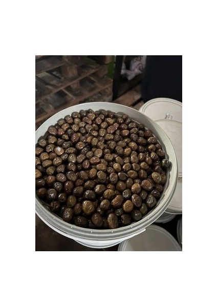 Siyah Zeytin 10 Kğ