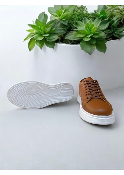 Erkek Taba-Beyaz Günlük Hafif Nefes Alabilen Ortopedik Yürüyüş Spor Ayakkabı Sneaker fırsatları