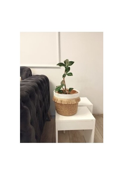 25*20 Püsküllü Bohem Hasır Hediyelik Sepet Saksılık Düzenleyici Organizer