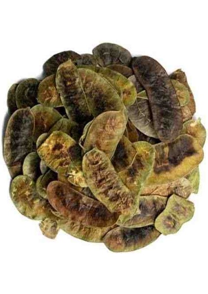 Açlık Otu 100 gr