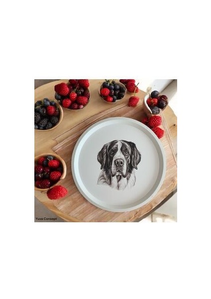 Köpek Desenli Tepsi - 31 cm - Beyaz Tepsi - Sunum Tepsisi fırsatları