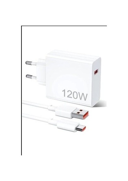 Auris 120 Watt USB To Type C Yüksek Hızlı Şarj Aleti Seti 120 W USB Başlık + Type C Kablo Saliseli