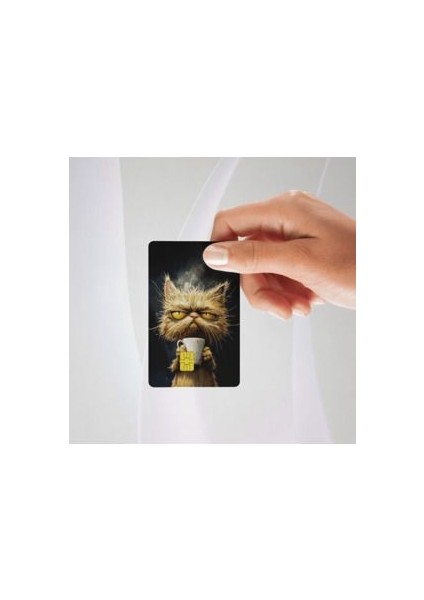 Çirkin Sarı Kedi Temalı Kredi/banka Kartı Kaplama Sticker Tekli