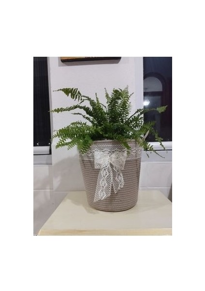 25*25 Bohem Sepet Saksılık Hediyelik Sepet