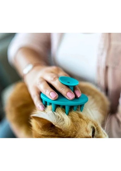 Yumuşak Silikon Uçlu Kedi Köpek Kaşıma Yıkama Fırçası Tarağı Vantuzlu