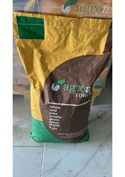 Çim Tohumu 10 kg 6'lı Karışım
