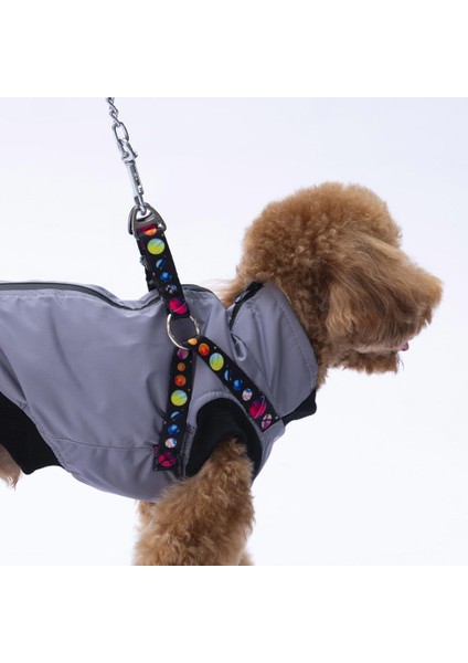 Nuuk Yelek Köpek Yeleği Köpek Kıyafeti Köpek Yağmurluk