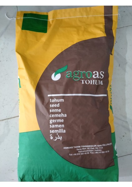 Çim Tohumu 5'li Karışım 10 kg