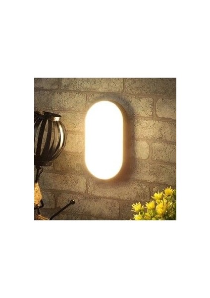 20W Duvar Glop LED Armatür 6500K Beyaz