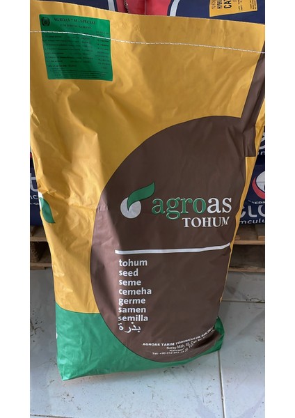 Çim Tohumu 10 kg 7'li Karışım