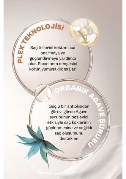 No.6 Bond Plex Restore Repair Yıpranma Karşıtı Serum Saç Bakım Yağı Set 2X100 ml