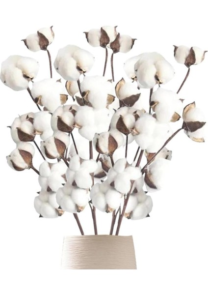 3lü Set Doğal Pamuk Çiçeği 9lu Kuru Çiçek 60 cm Yapay Çiçek