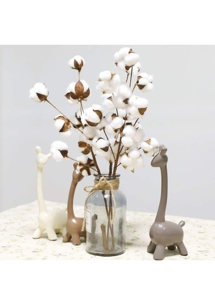 3lü Set Doğal Pamuk Çiçeği 9lu Kuru Çiçek 60 cm Yapay Çiçek fırsatları