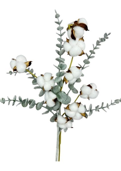 Doğal Pamuk ve Okaliptus Çiçeği Kuru Çiçek Yapay Çiçek 2li Mix