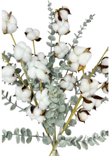 Doğal Pamuk ve Okaliptus Çiçeği Kuru Çiçek Yapay Çiçek 2li Mix fiyatları