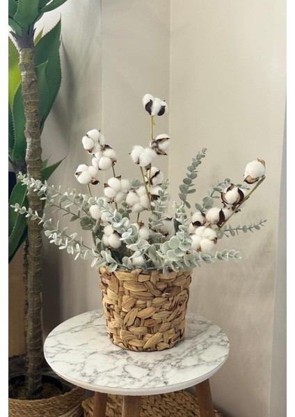 Doğal Pamuk ve Okaliptus Çiçeği Kuru Çiçek Yapay Çiçek 2li Mix modelleri