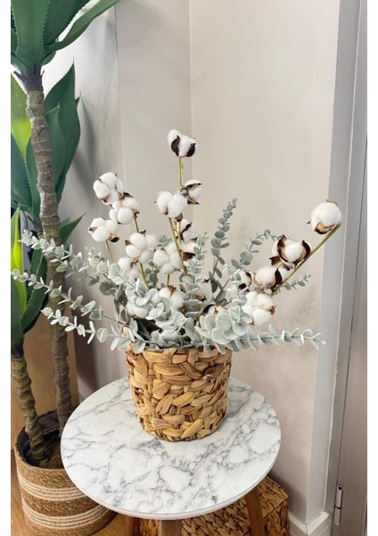 Doğal Pamuk ve Okaliptus Çiçeği Kuru Çiçek Yapay Çiçek 2li Mix fırsatları