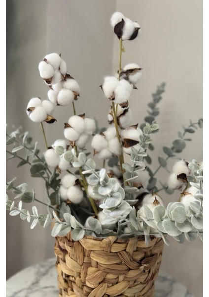 Doğal Pamuk ve Okaliptus Çiçeği Kuru Çiçek Yapay Çiçek 2li Mix indirimleri