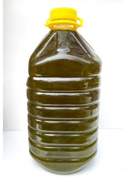 Zeytinyağı 5 Litrelik 0.3 Astilik fiyatları