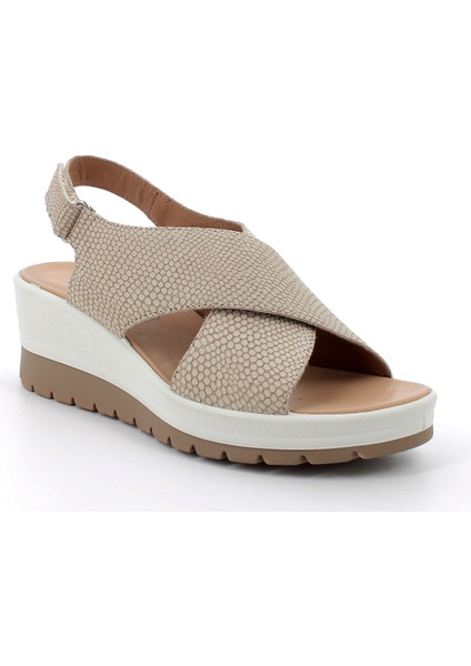 Kadın Sandalet 7664722 Igı&co Dcl 76647 Nab.st.mambo La Champagne