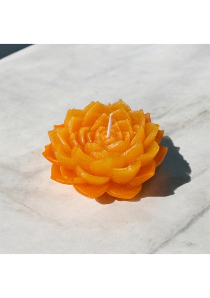 Turuncu Lotus Çiçeği Tasarımlı Mandalina Kokulu Mum modelleri