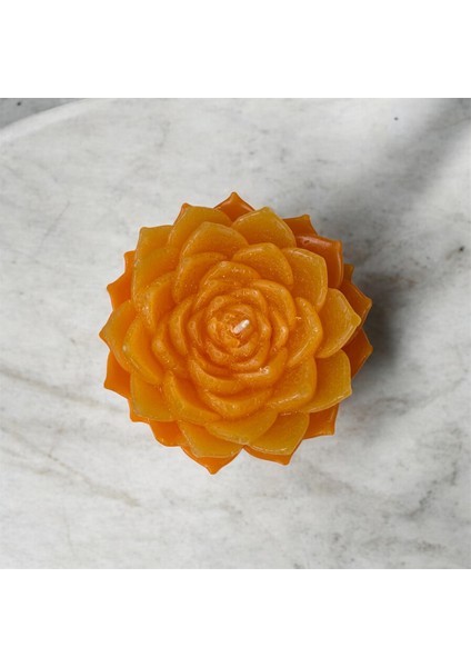 Turuncu Lotus Çiçeği Tasarımlı Mandalina Kokulu Mum fırsatları