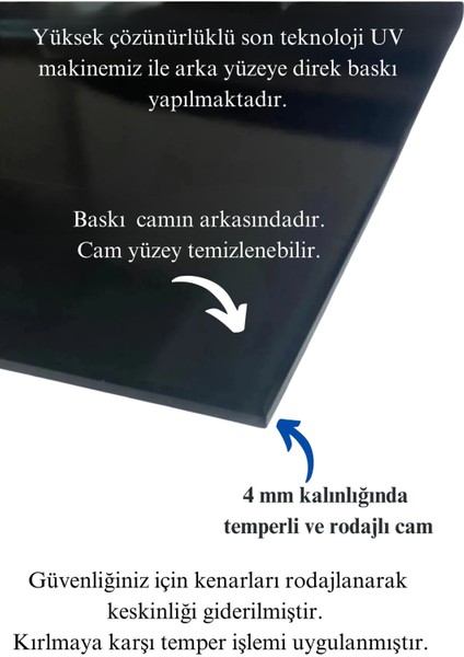 Taşlar ve Agaç Kırılmaz Cam Tablo Modern Tablo Salon Tablo Sürrealist Tablo