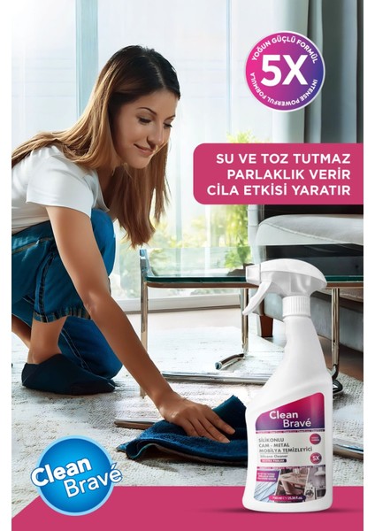 Silikonlu Cam, Metal, Mobilya Temizleyici 750 ml fiyatları