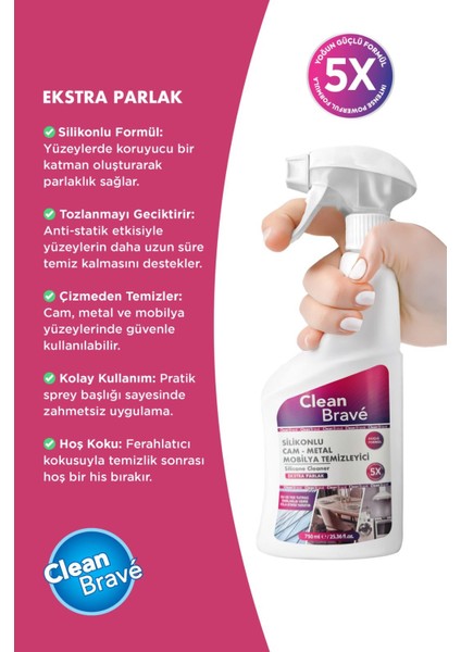 Silikonlu Cam, Metal, Mobilya Temizleyici 750 ml modelleri
