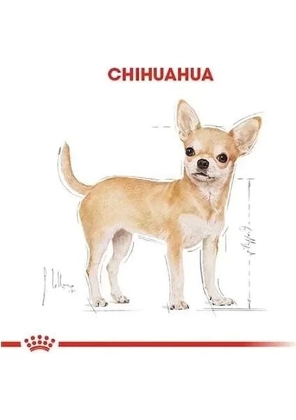 Royal Canin Chihuahua Adult Yetişkin Köpek Maması 1.5 kg indirimleri