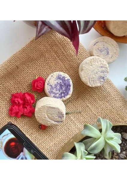 5 Adet Mühürlü Ruşur Sefidab Taşı