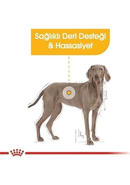 Royal Canin Adult Maxi Dermacomfort Yetişkin Köpek Maması 12 kg modelleri
