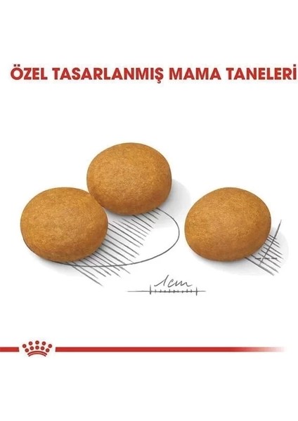 Royal Canin Adult Maxi Dermacomfort Yetişkin Köpek Maması 12 kg indirimleri