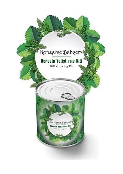 Mulvxkrg KRG02 Konserve Evde Konservede Dereotu Yetiştirme Kiti Aparatı (Mulvix)