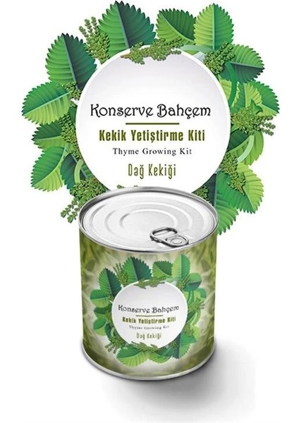 KRG02 Konserve Evde Konservede Kekik Dağ Kekiği Yetiştirme Kiti (Mulvix)