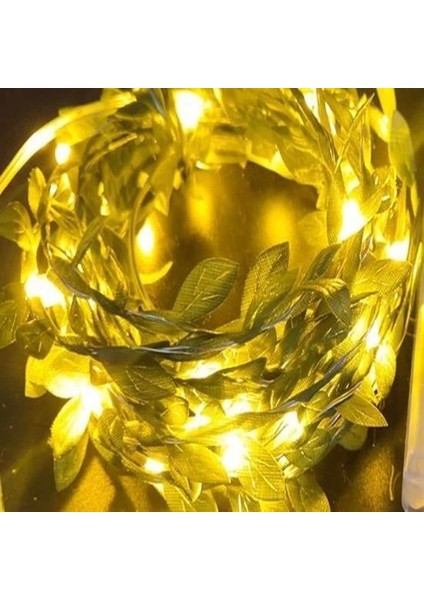 KRG02 Yapraklı Dekorlu 3 Metre Peri Led Pilli ışık Yılbaşı Aydınlatma (Mulvix)