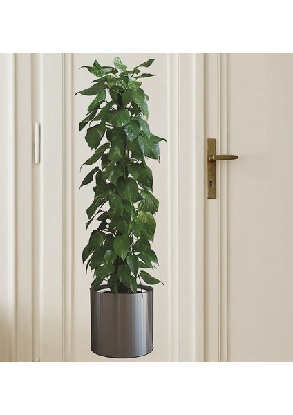 Mulvxurg URG02 Saksılı Bitki Tasarımlı Yapışkanlı Sticker Resim 90*30 MC-665 (Mulvix)